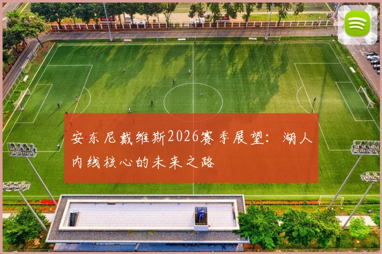 安东尼戴维斯2026赛季展望:湖人内线核心的未来之路